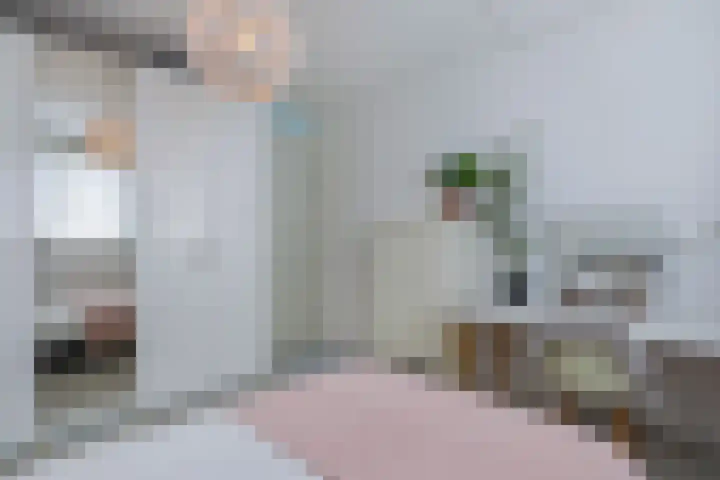 Johanneshoeve 13 Hooglanderveen thumbnail 24