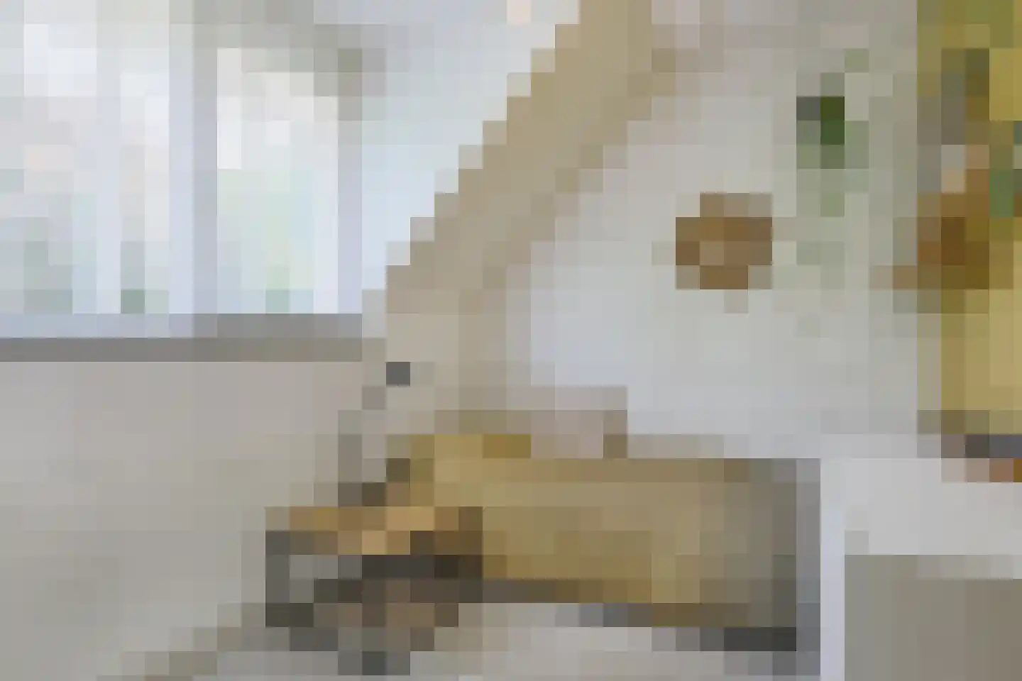 Johanneshoeve 13 Hooglanderveen thumbnail 28
