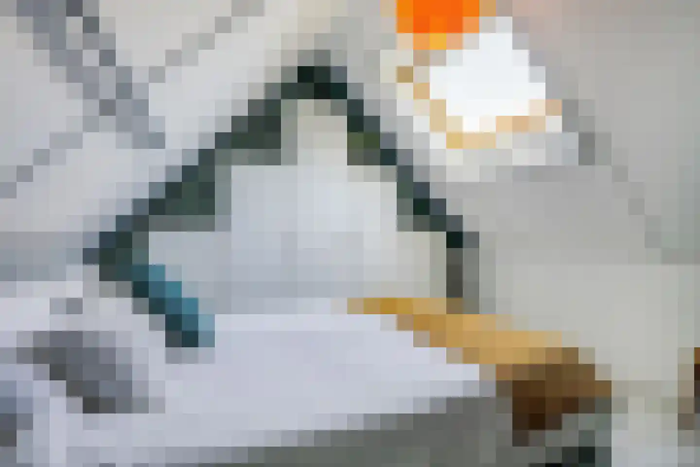 Johanneshoeve 13 Hooglanderveen thumbnail 36