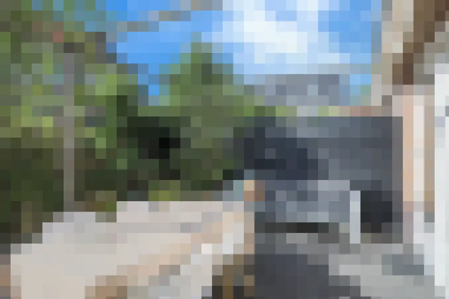 Johanneshoeve 13 Hooglanderveen thumbnail 42