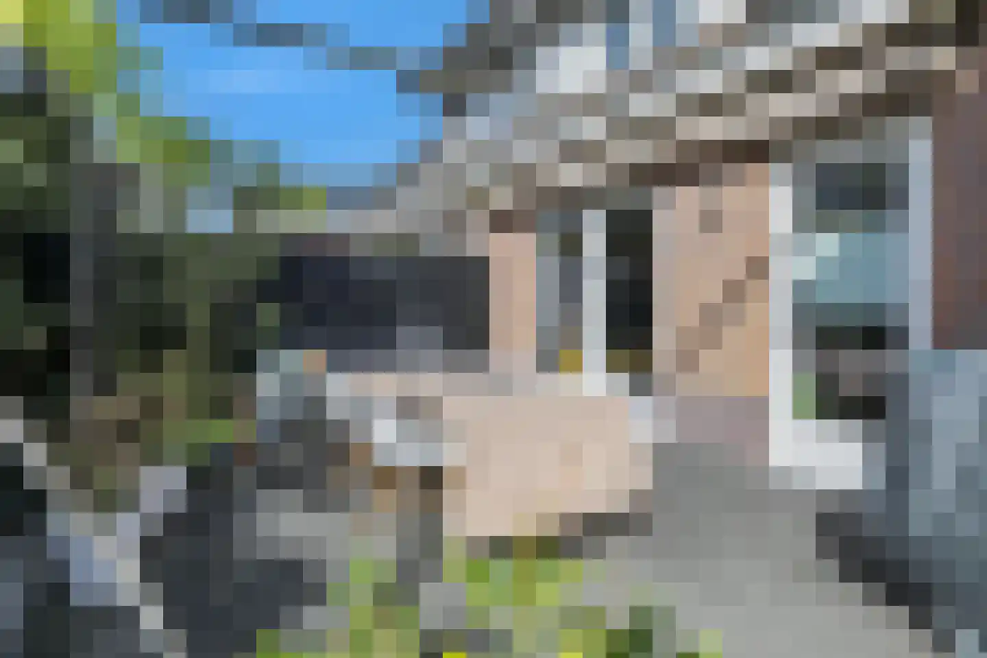 Johanneshoeve 13 Hooglanderveen thumbnail 43