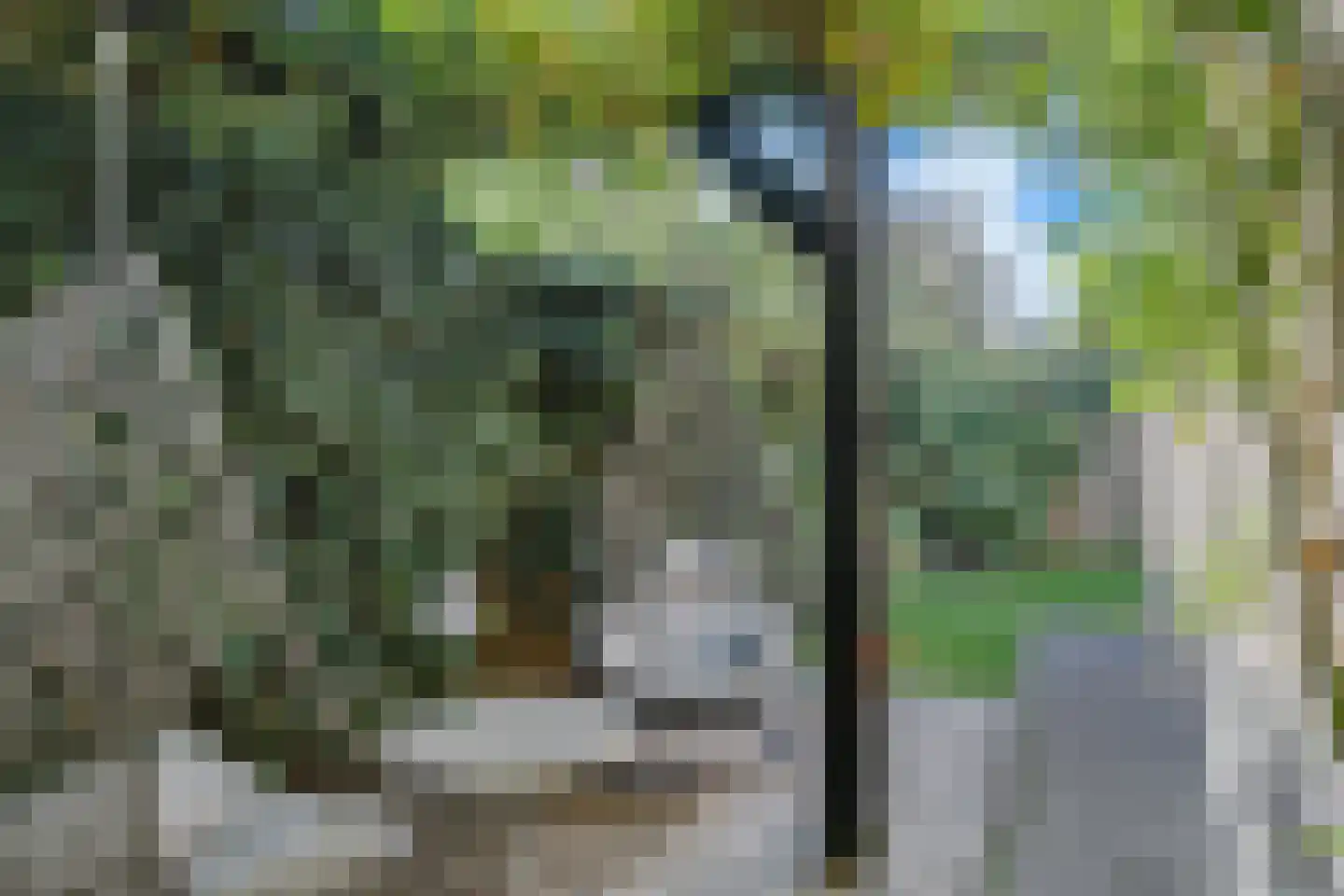 Johanneshoeve 13 Hooglanderveen thumbnail 46