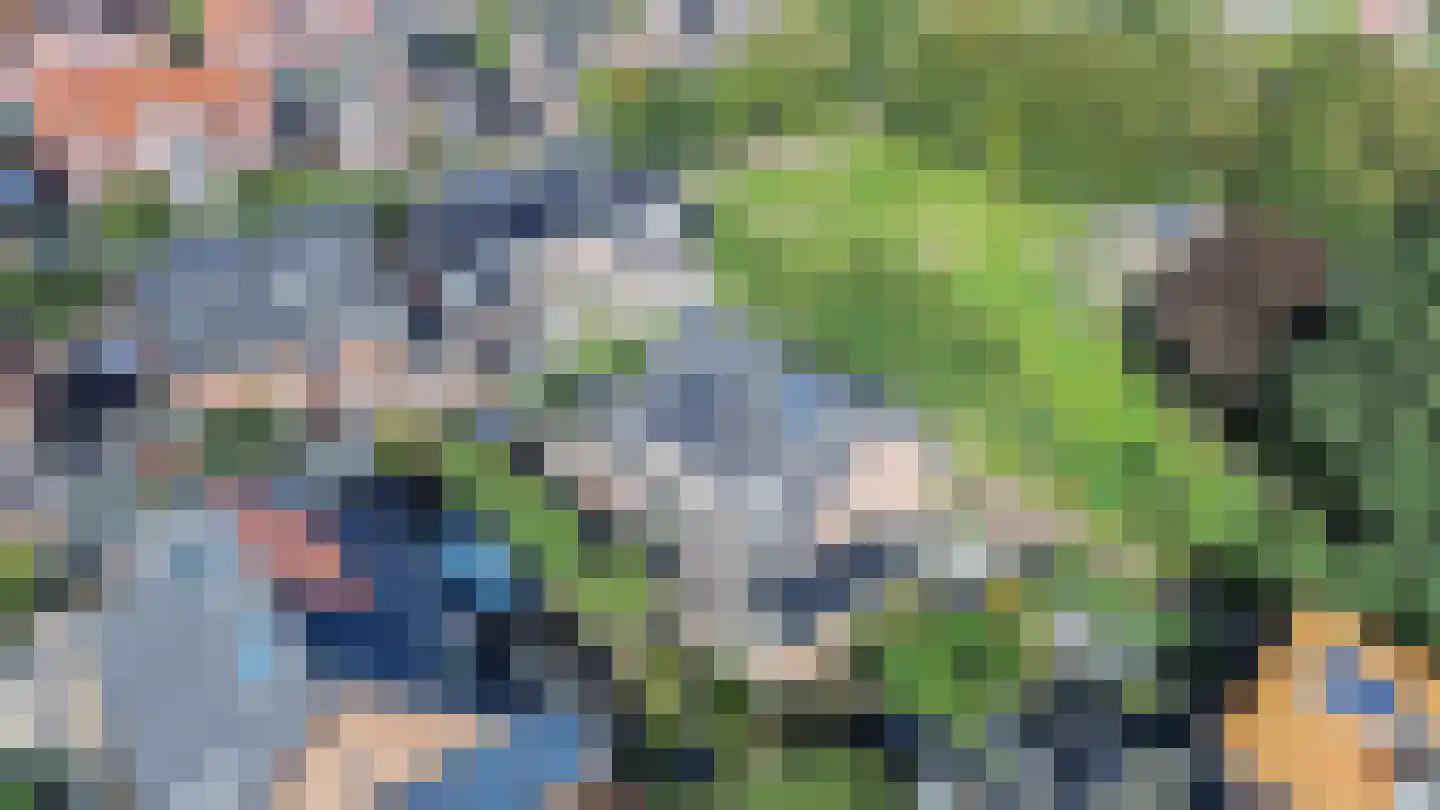 Johanneshoeve 13 Hooglanderveen thumbnail 49