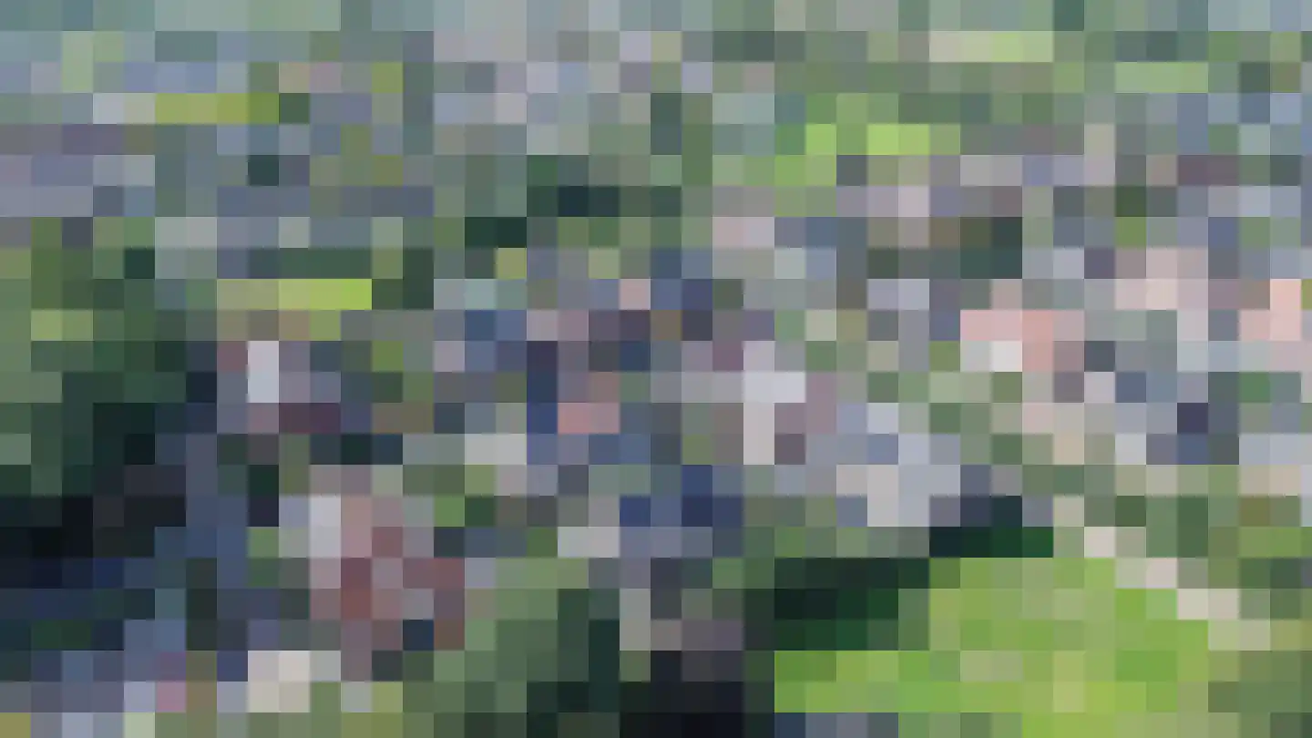 Johanneshoeve 13 Hooglanderveen thumbnail 52