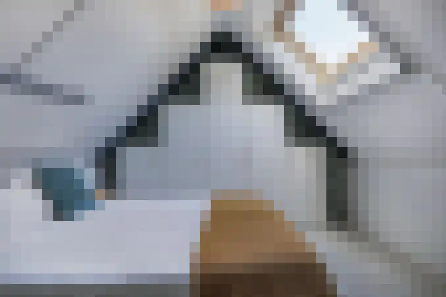 Johanneshoeve 13 Hooglanderveen thumbnail 6