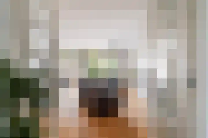 Johanneshoevelaan 15 Wassenaar thumbnail 11