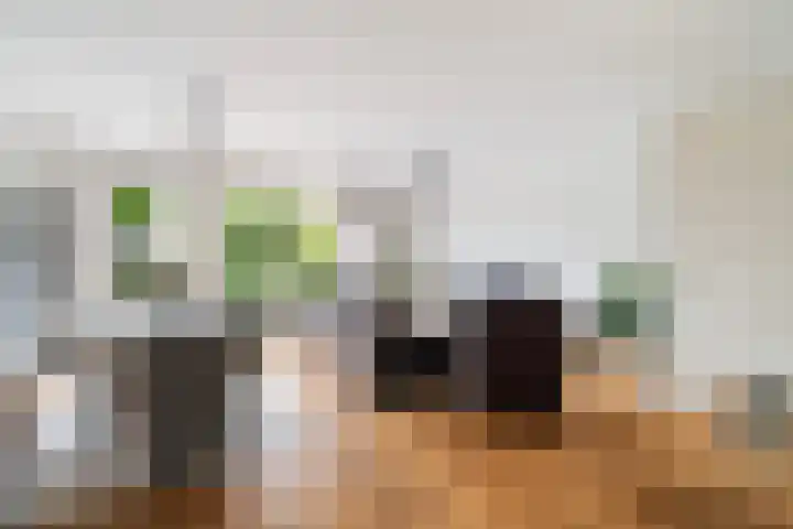 Johanneshoevelaan 15 Wassenaar thumbnail 13