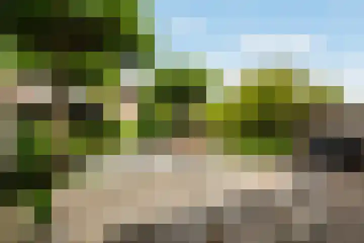 Johanneshoevelaan 15 Wassenaar thumbnail 15