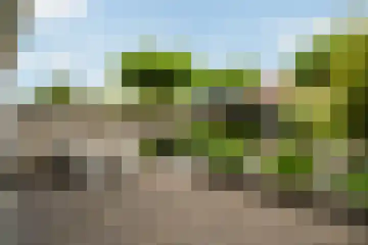 Johanneshoevelaan 15 Wassenaar thumbnail 16