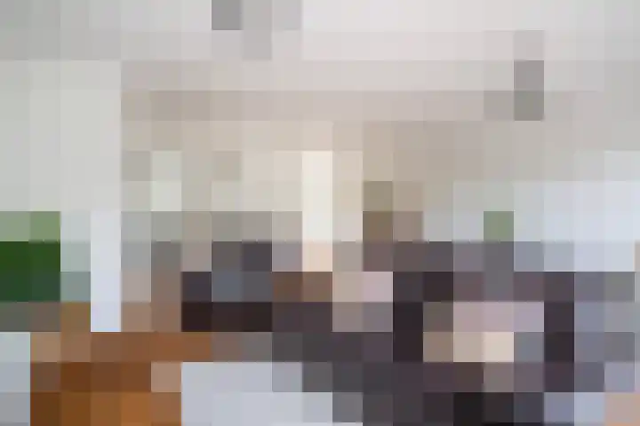 Johanneshoevelaan 15 Wassenaar thumbnail 19