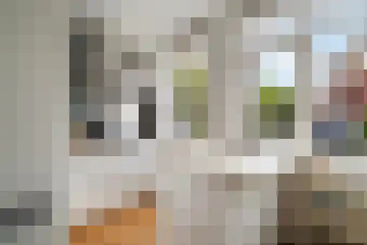 Johanneshoevelaan 15 Wassenaar thumbnail 21
