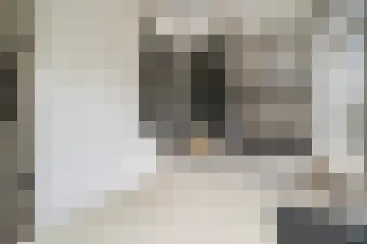 Johanneshoevelaan 15 Wassenaar thumbnail 24