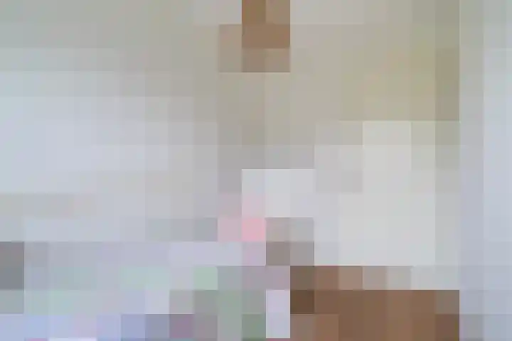 Johanneshoevelaan 15 Wassenaar thumbnail 32