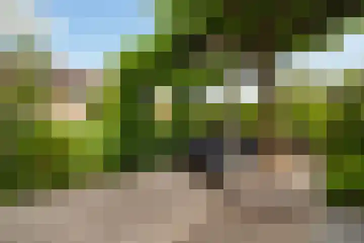 Johanneshoevelaan 15 Wassenaar thumbnail 4