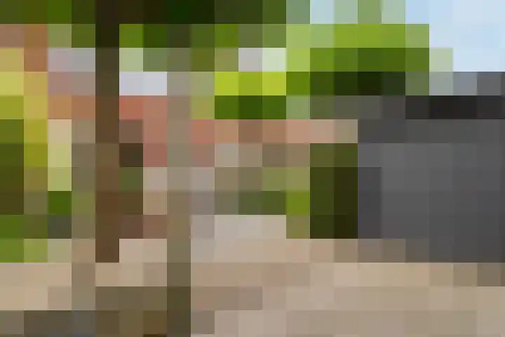 Johanneshoevelaan 15 Wassenaar thumbnail 5