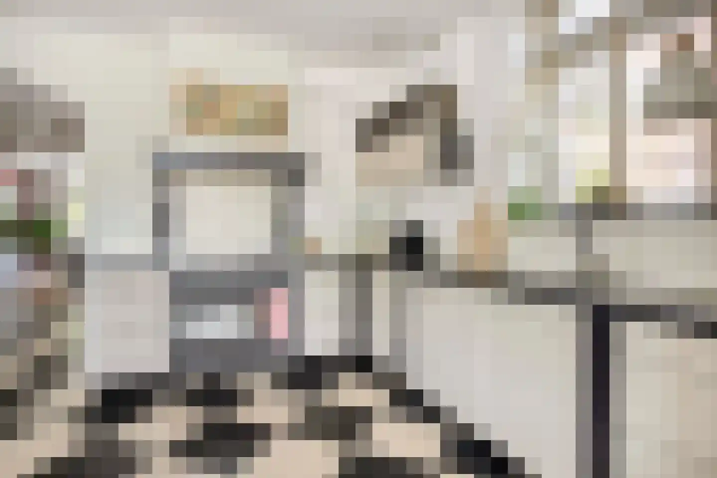 Johanneshoevelaan 7 Wassenaar thumbnail 10