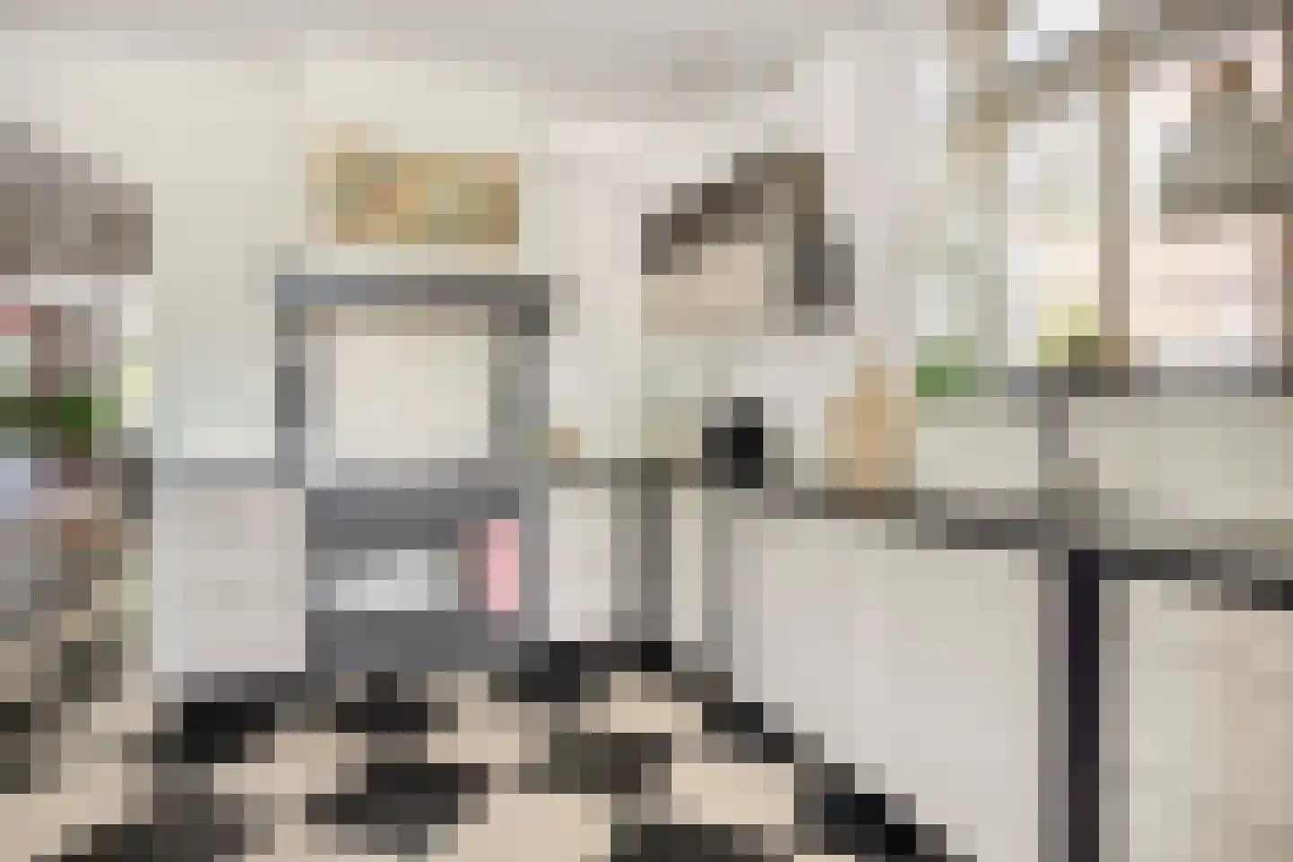 Johanneshoevelaan 7 Wassenaar thumbnail 10