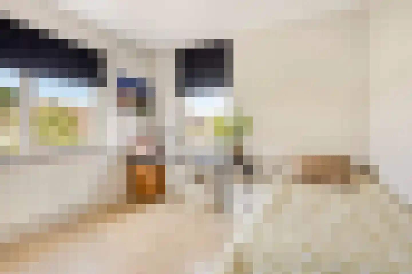 Johanneshoevelaan 7 Wassenaar thumbnail 31