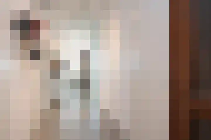 Johanneshof 10 Dieren thumbnail 12