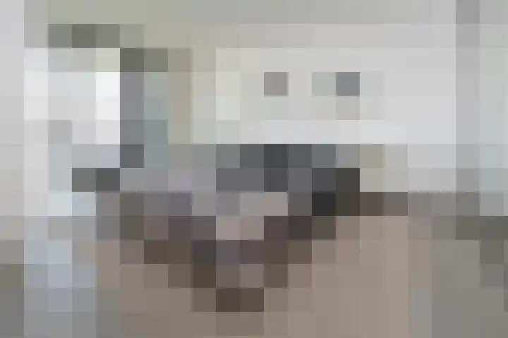 Johanneshof 10 Dieren thumbnail 13