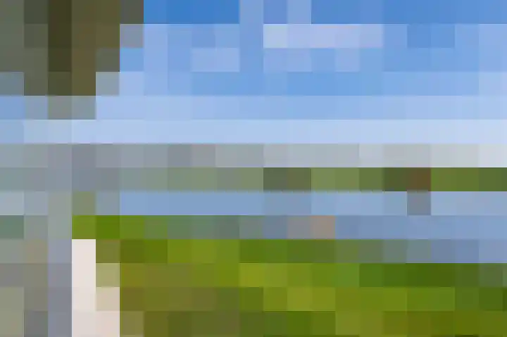 Johanneshof 10 Dieren thumbnail 21