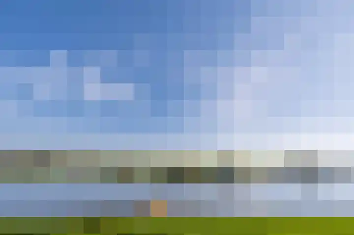 Johanneshof 10 Dieren thumbnail 22