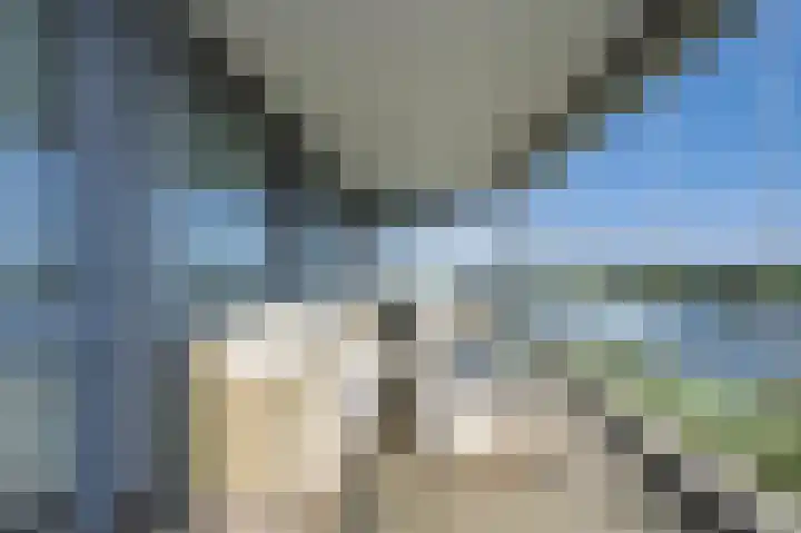 Johanneshof 10 Dieren thumbnail 4
