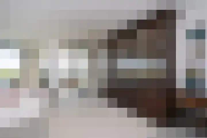 Johanneshof 10 Dieren thumbnail 6