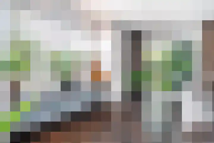 Johannesleane 3 Hempens thumbnail 24