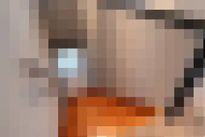Johannesleane 3 Hempens thumbnail 42