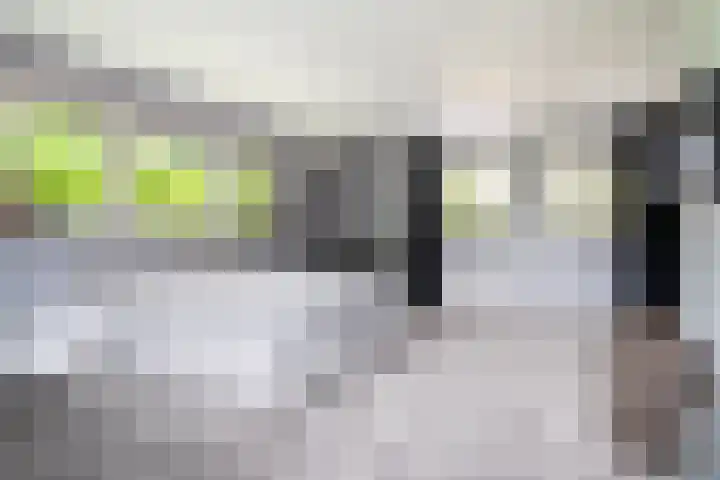 Johannesleane 3 Hempens thumbnail 45