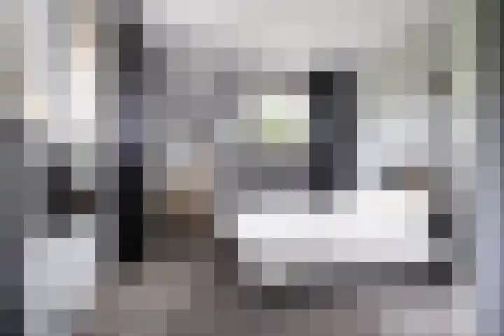 Johannesleane 3 Hempens thumbnail 47