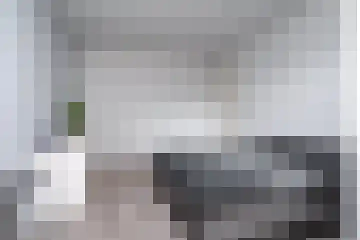 Johannesleane 3 Hempens thumbnail 58