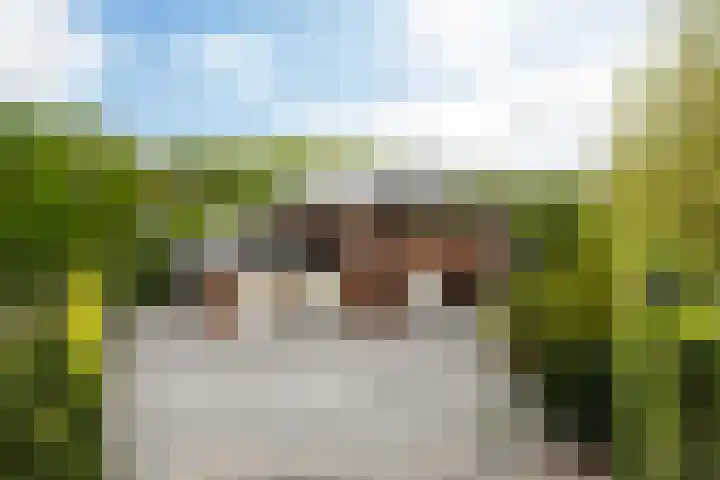 Johannesleane 3 Hempens thumbnail 62