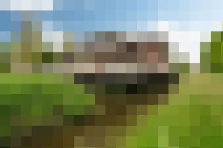 Johannesleane 3 Hempens thumbnail 63