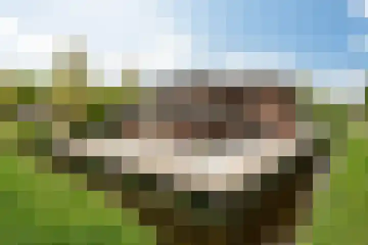Johannesleane 3 Hempens thumbnail 64