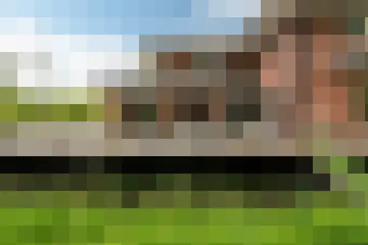 Johannesleane 3 Hempens thumbnail 65