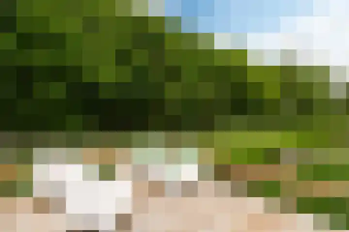 Johannesleane 3 Hempens thumbnail 67