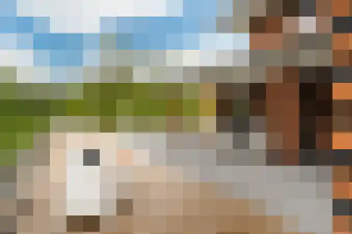 Johannesleane 3 Hempens thumbnail 68