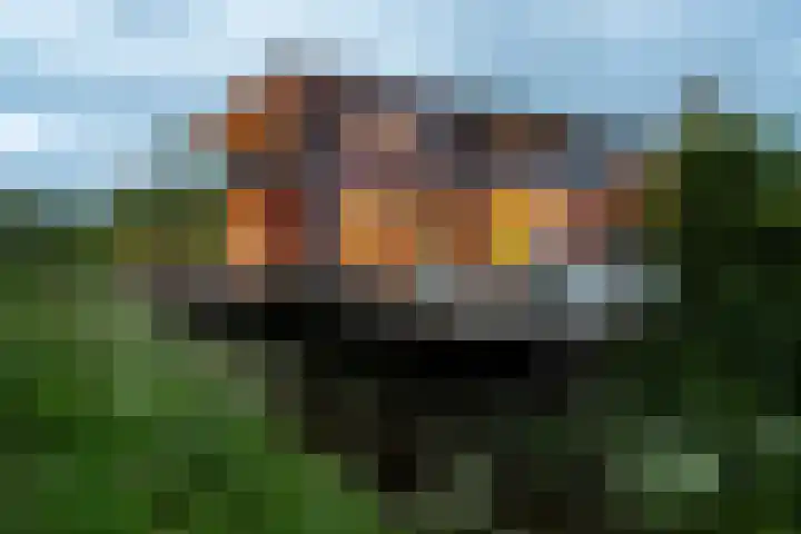 Johannesleane 3 Hempens thumbnail 73