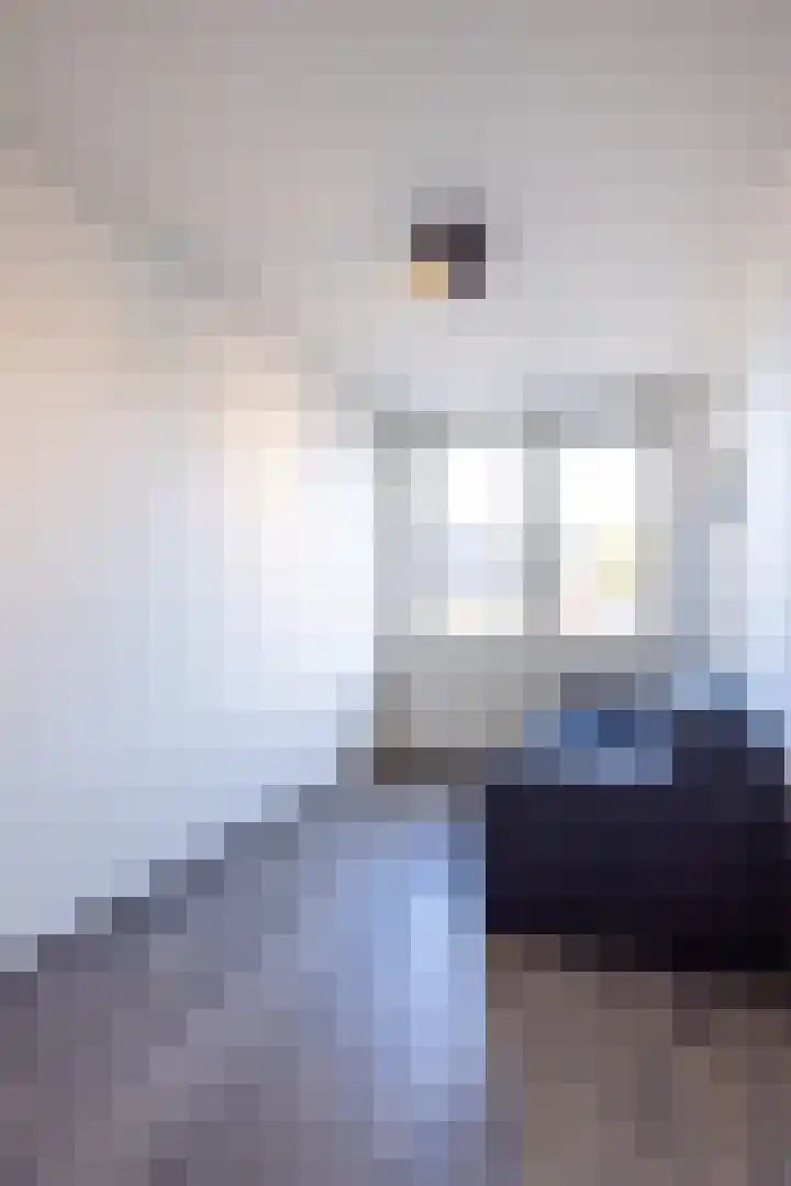 Johannesstraat 2 Beek thumbnail 23