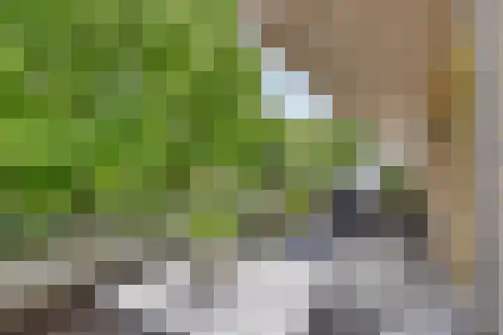 Johannieterhof 23 Oudewater thumbnail 13