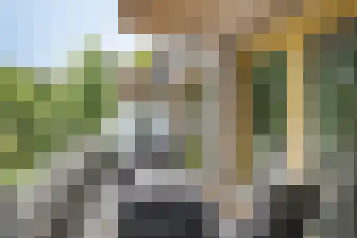 Johannieterhof 23 Oudewater thumbnail 14