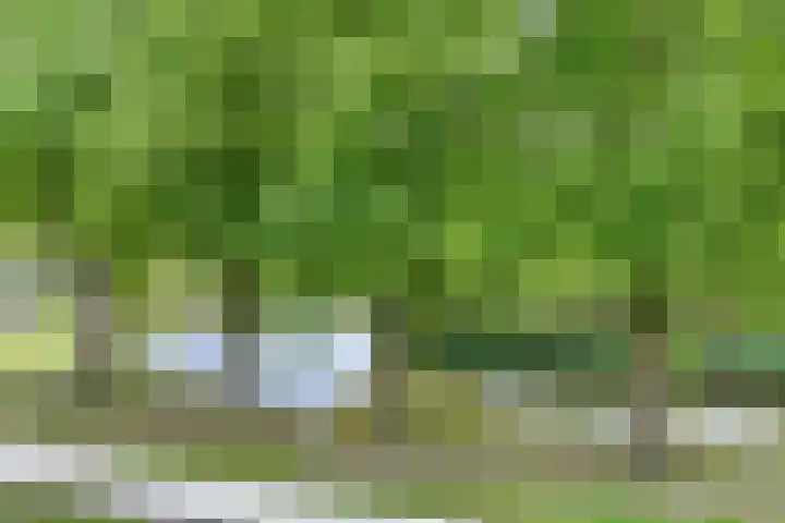 Johannieterhof 23 Oudewater thumbnail 15