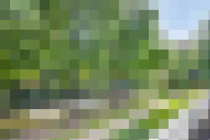 Johannieterhof 23 Oudewater thumbnail 16