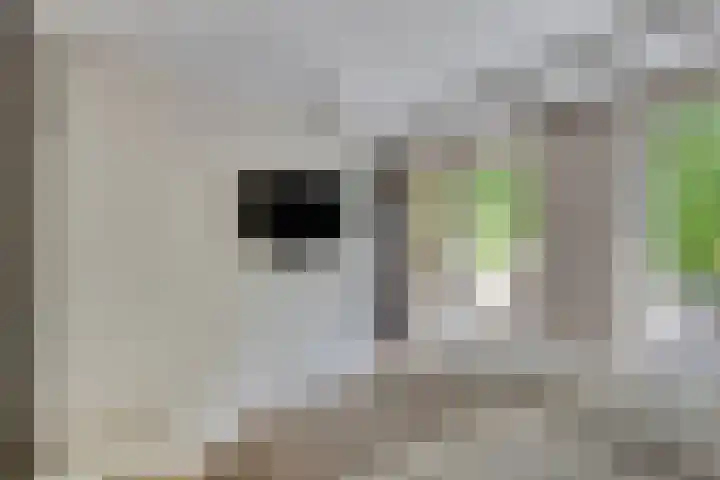 Johannieterhof 23 Oudewater thumbnail 21