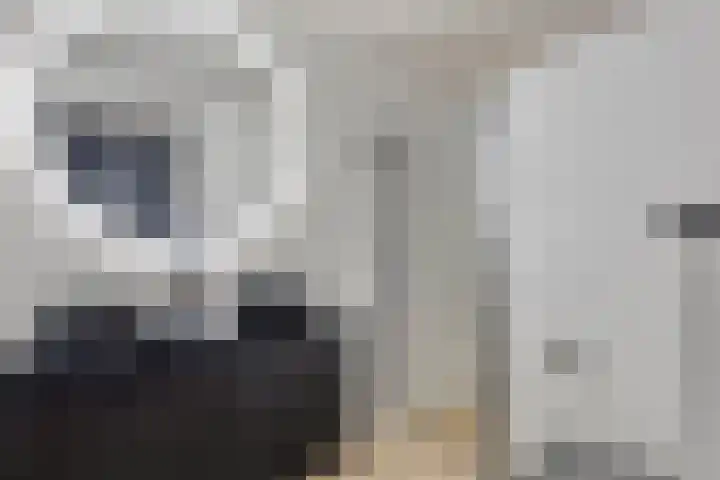 Johannieterhof 23 Oudewater thumbnail 23