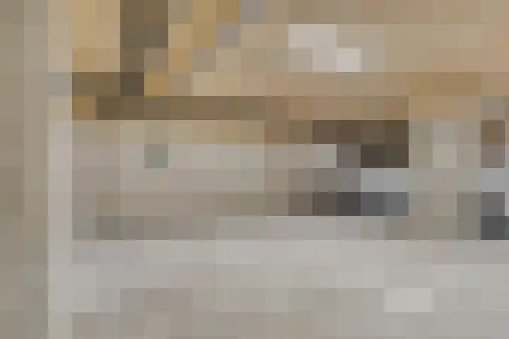 Johannieterhof 23 Oudewater thumbnail 28