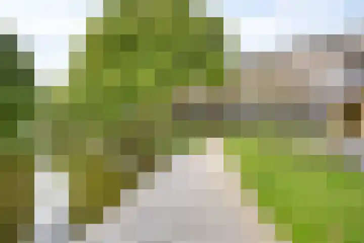 Johannieterhof 23 Oudewater thumbnail 32
