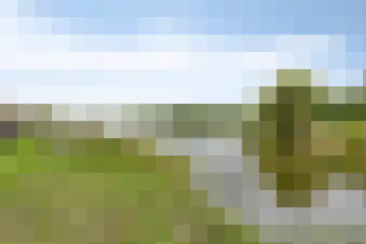 Johannieterhof 23 Oudewater thumbnail 34